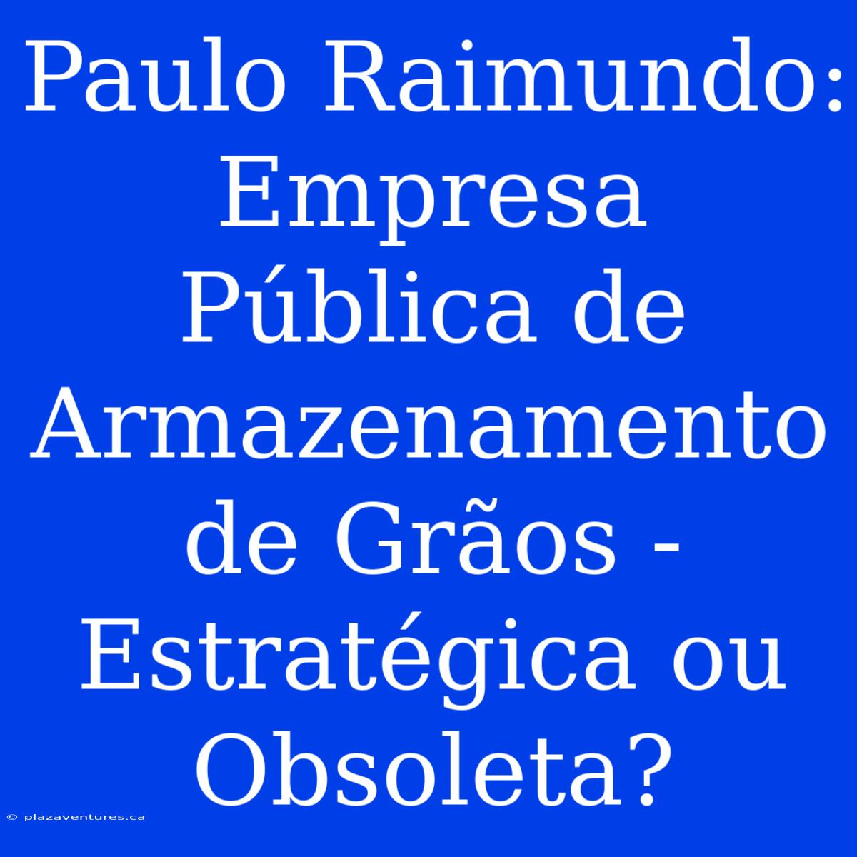 Paulo Raimundo: Empresa Pública De Armazenamento De Grãos - Estratégica Ou Obsoleta?