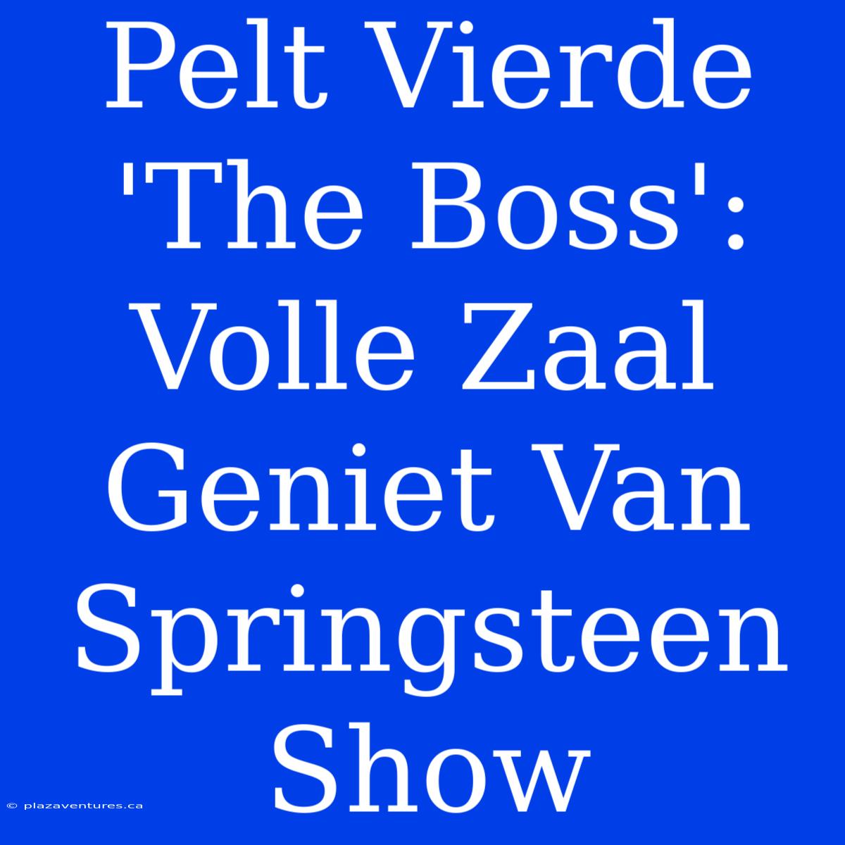 Pelt Vierde 'The Boss': Volle Zaal Geniet Van Springsteen Show