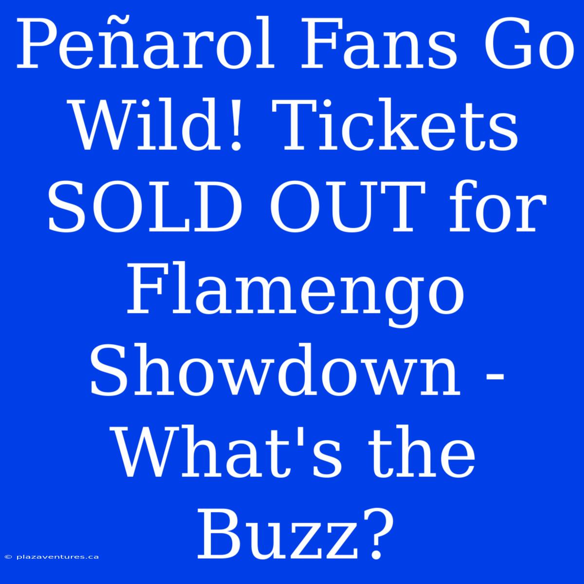 Peñarol Fans Go Wild! Tickets SOLD OUT For Flamengo Showdown - What's The Buzz?