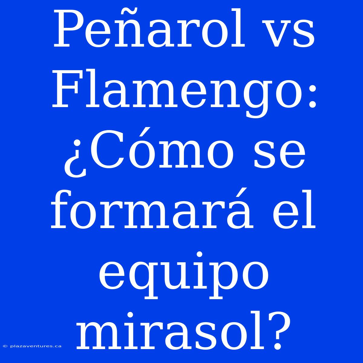 Peñarol Vs Flamengo: ¿Cómo Se Formará El Equipo Mirasol?