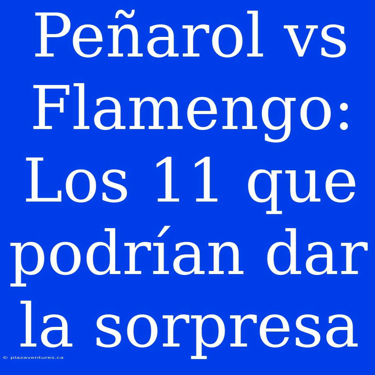 Peñarol Vs Flamengo: Los 11 Que Podrían Dar La Sorpresa