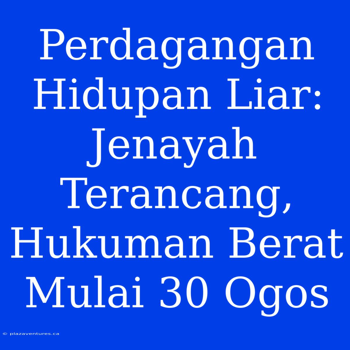 Perdagangan Hidupan Liar: Jenayah Terancang, Hukuman Berat Mulai 30 Ogos