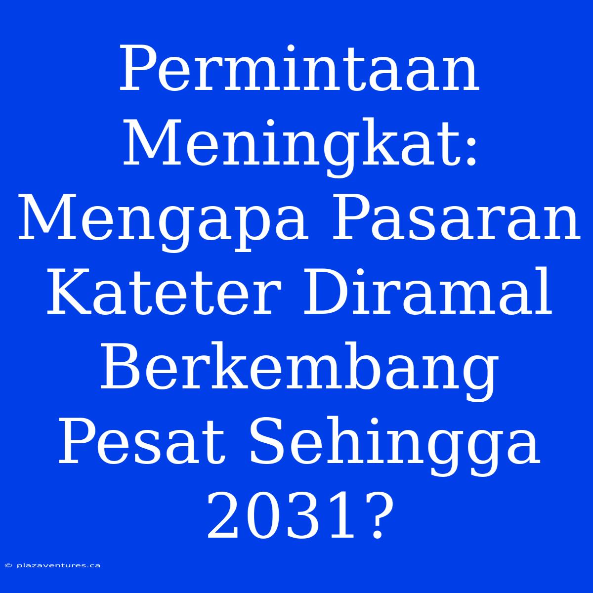 Permintaan Meningkat: Mengapa Pasaran Kateter Diramal Berkembang Pesat Sehingga 2031?