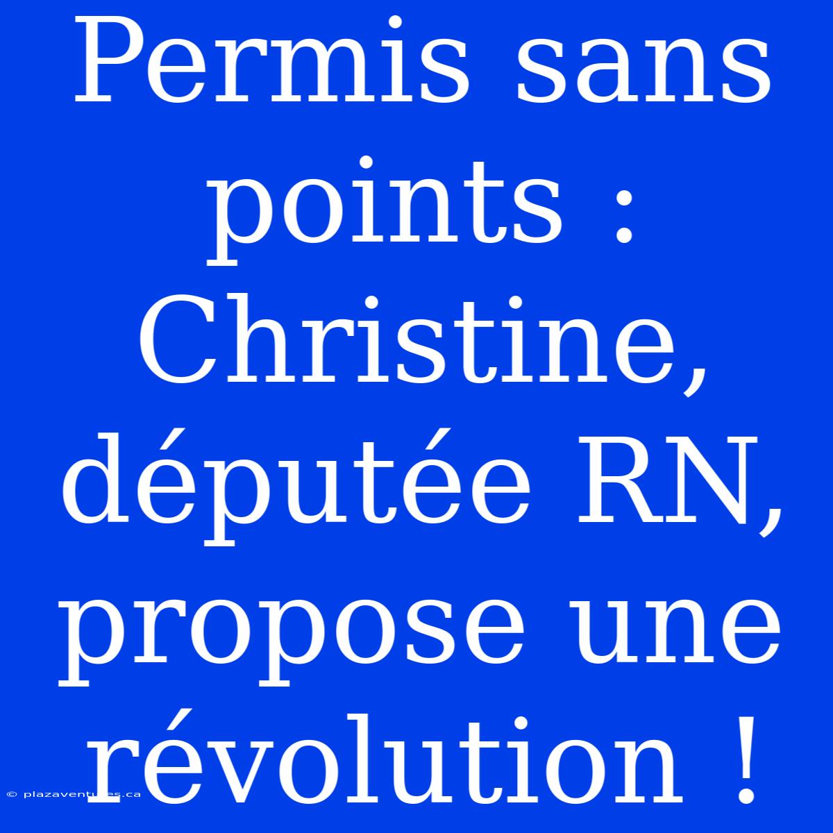 Permis Sans Points : Christine, Députée RN, Propose Une Révolution !