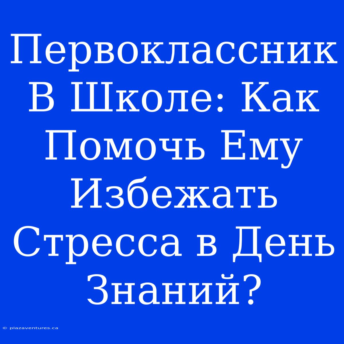 Первоклассник В Школе: Как Помочь Ему Избежать Стресса В День Знаний?