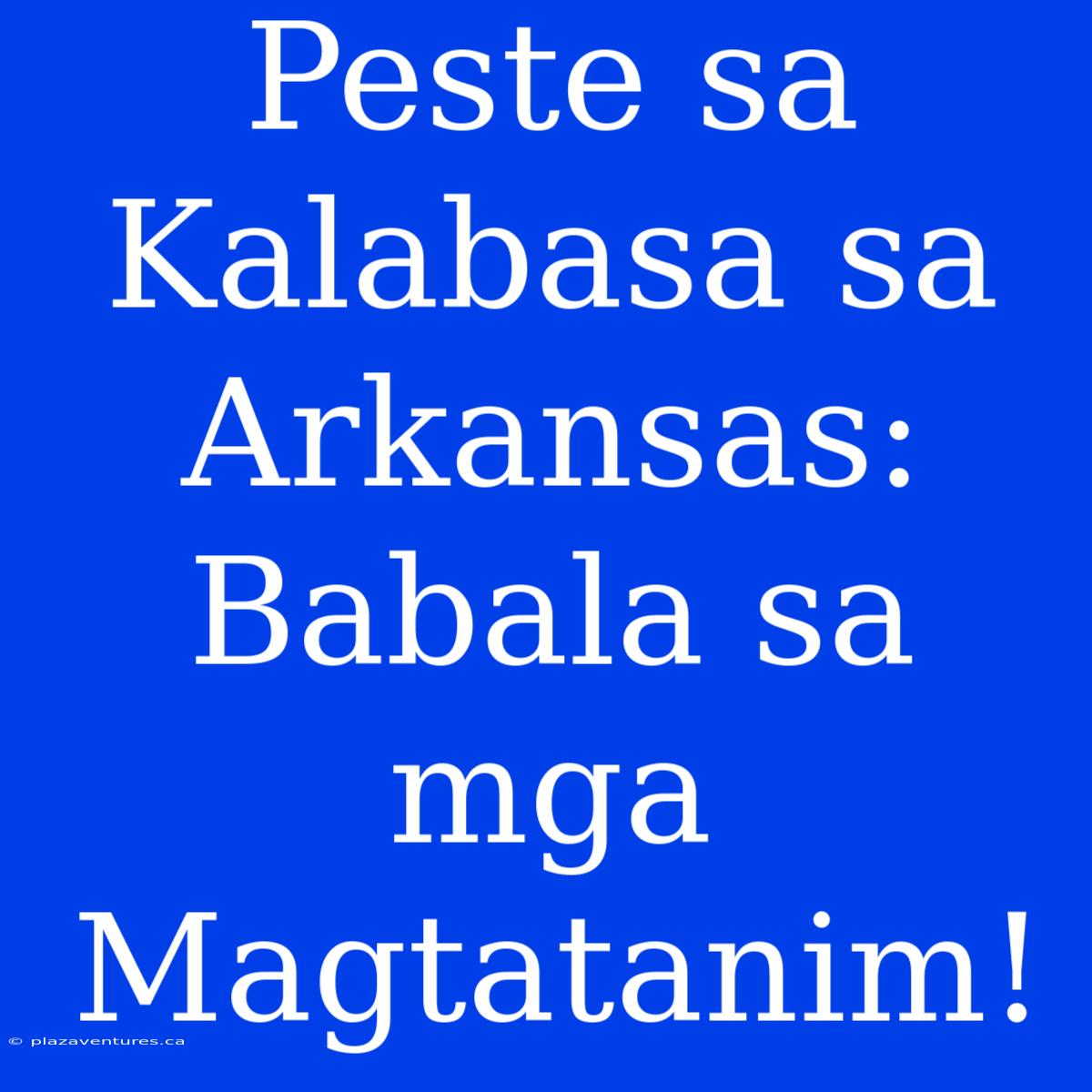 Peste Sa Kalabasa Sa Arkansas: Babala Sa Mga Magtatanim!