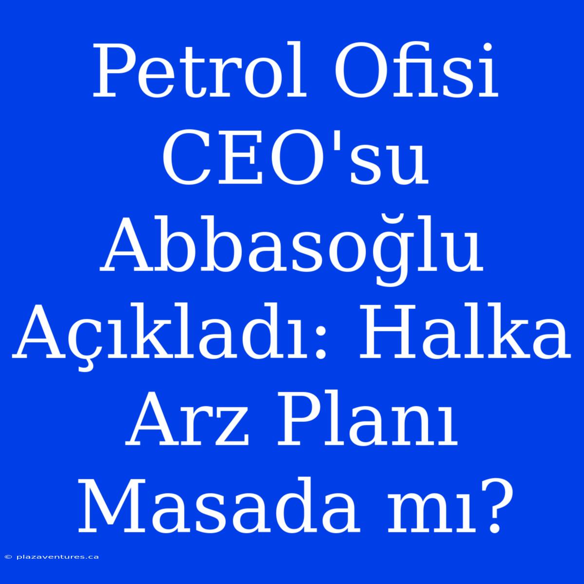 Petrol Ofisi CEO'su Abbasoğlu Açıkladı: Halka Arz Planı Masada Mı?