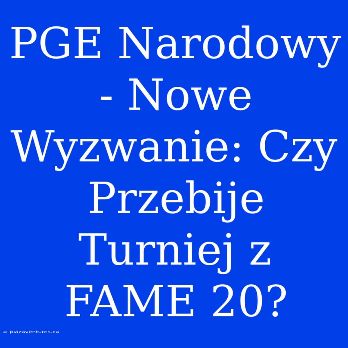 PGE Narodowy - Nowe Wyzwanie: Czy Przebije Turniej Z FAME 20?