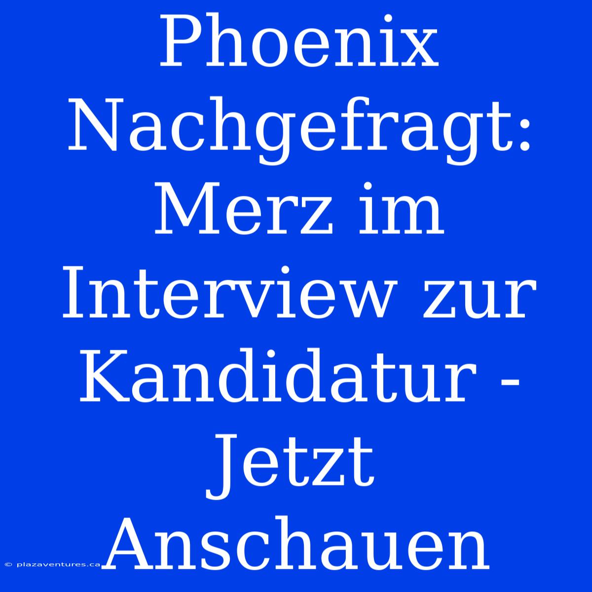 Phoenix Nachgefragt: Merz Im Interview Zur Kandidatur - Jetzt Anschauen