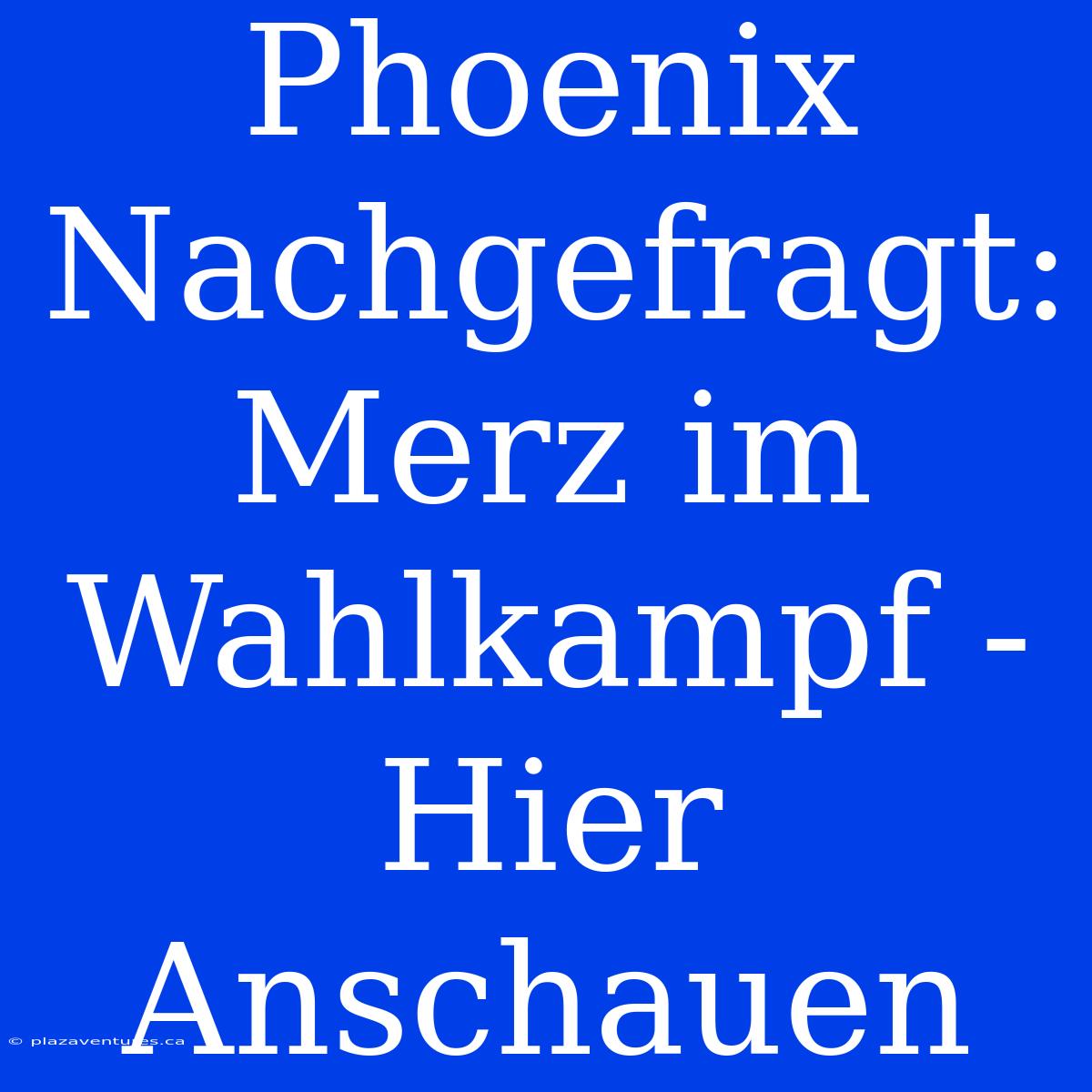 Phoenix Nachgefragt: Merz Im Wahlkampf - Hier Anschauen