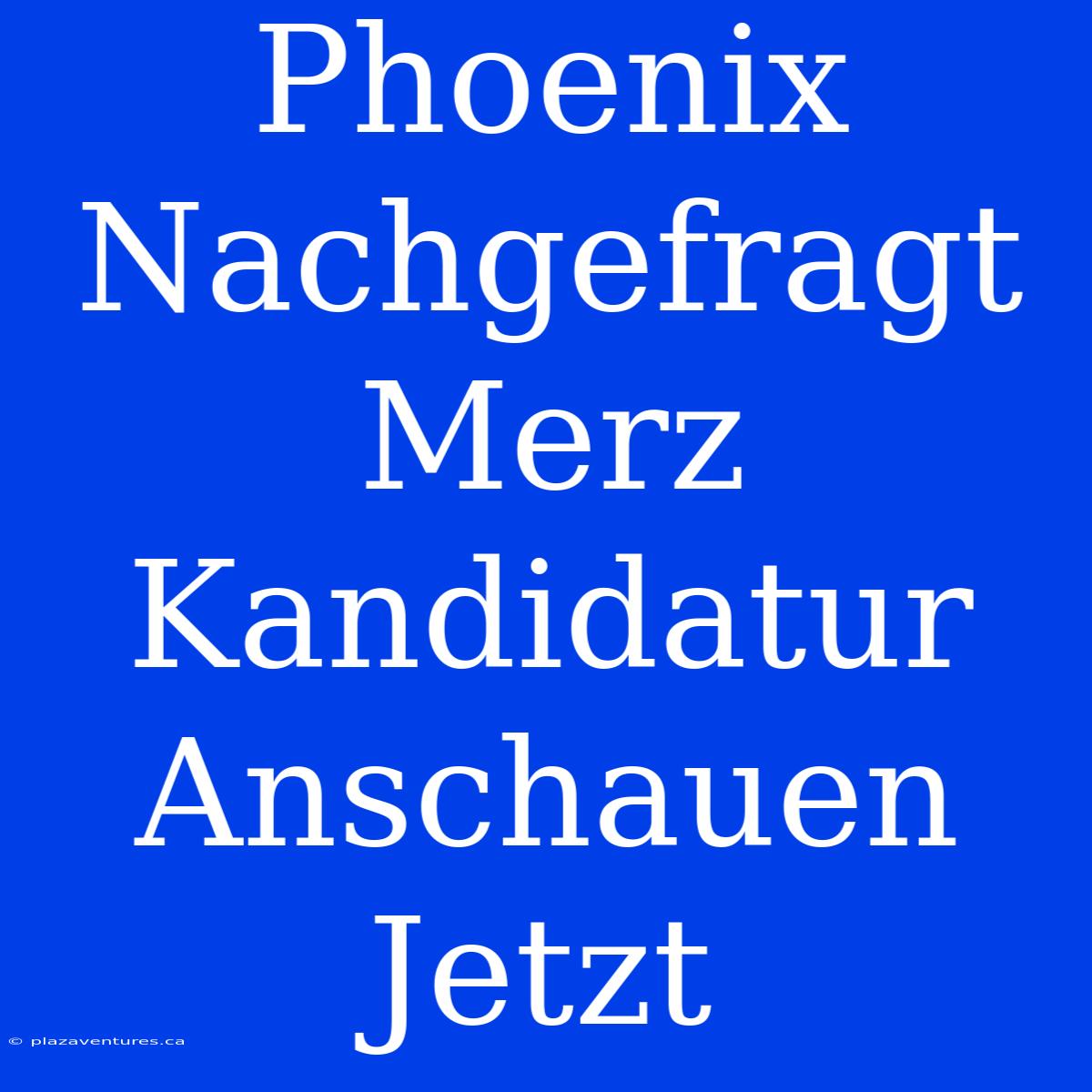 Phoenix Nachgefragt Merz Kandidatur Anschauen Jetzt