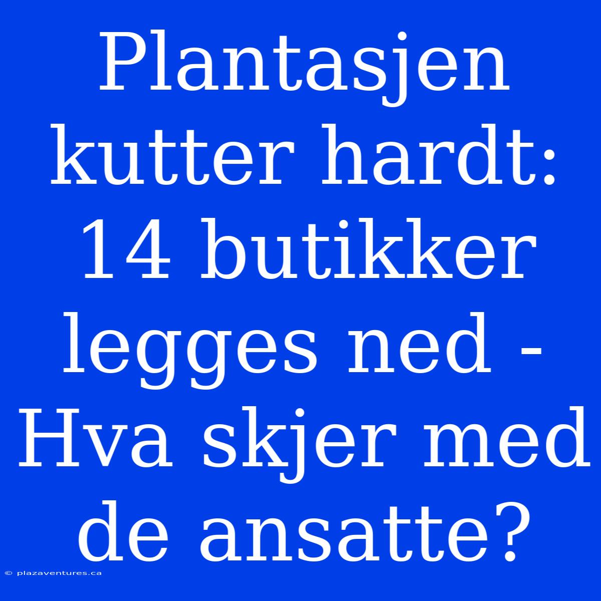 Plantasjen Kutter Hardt: 14 Butikker Legges Ned - Hva Skjer Med De Ansatte?