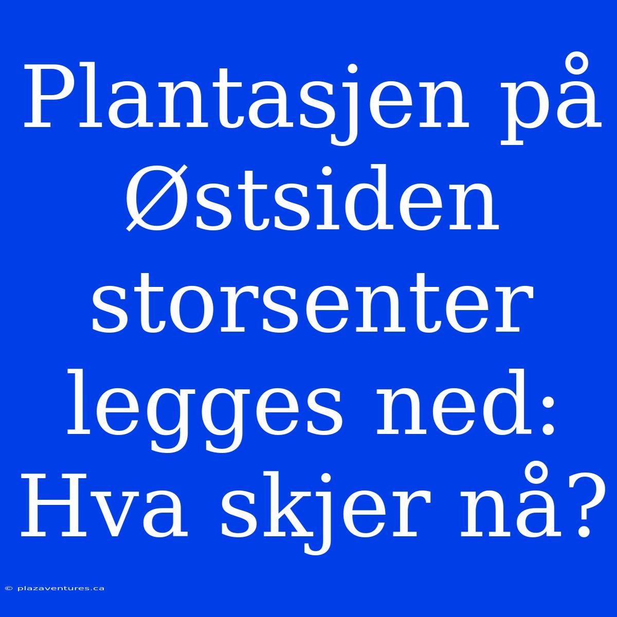 Plantasjen På Østsiden Storsenter Legges Ned: Hva Skjer Nå?