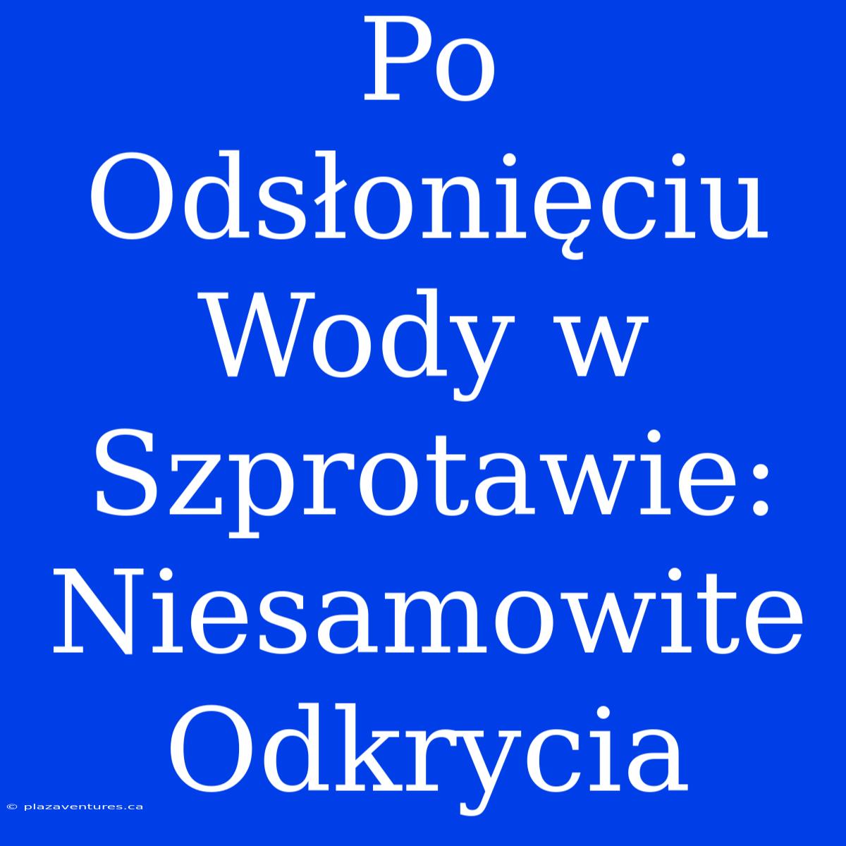 Po Odsłonięciu Wody W Szprotawie: Niesamowite Odkrycia