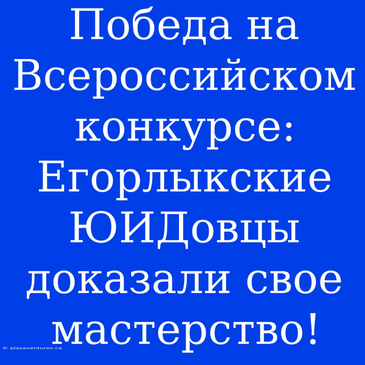 Победа На Всероссийском Конкурсе: Егорлыкские ЮИДовцы Доказали Свое Мастерство!