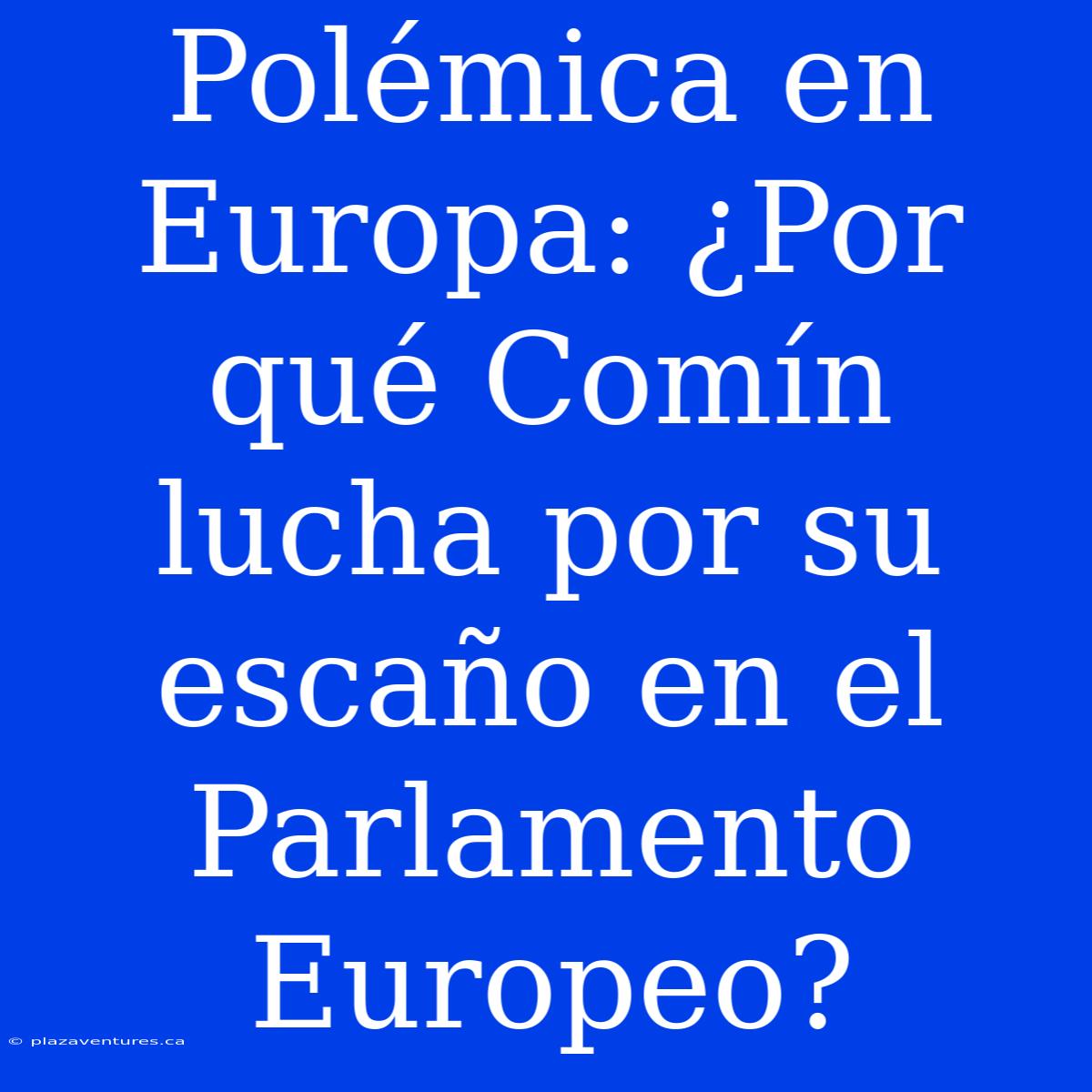 Polémica En Europa: ¿Por Qué Comín Lucha Por Su Escaño En El Parlamento Europeo?