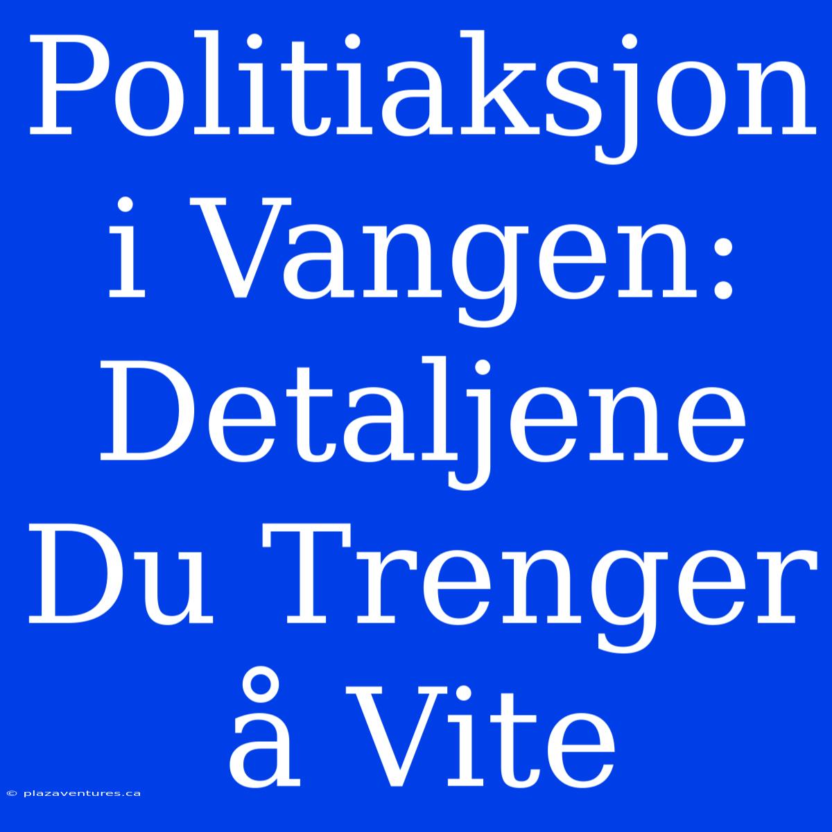 Politiaksjon I Vangen: Detaljene Du Trenger Å Vite