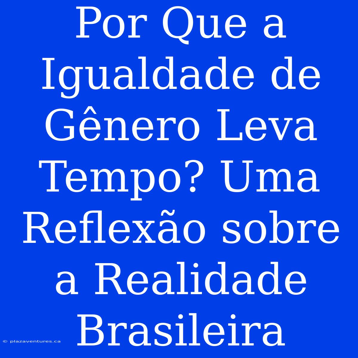 Por Que A Igualdade De Gênero Leva Tempo? Uma Reflexão Sobre A Realidade Brasileira