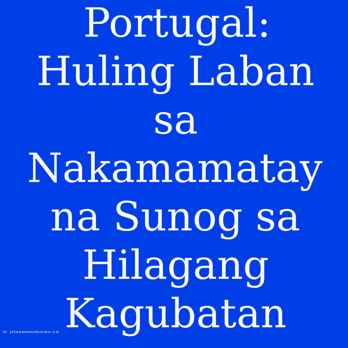 Portugal:  Huling Laban Sa Nakamamatay Na Sunog Sa Hilagang Kagubatan