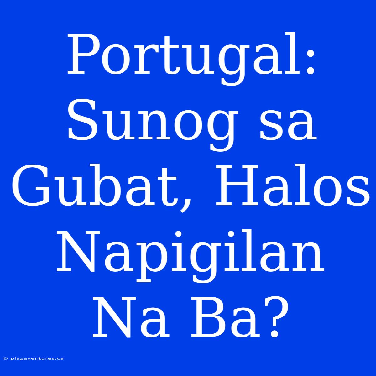 Portugal: Sunog Sa Gubat, Halos Napigilan Na Ba?