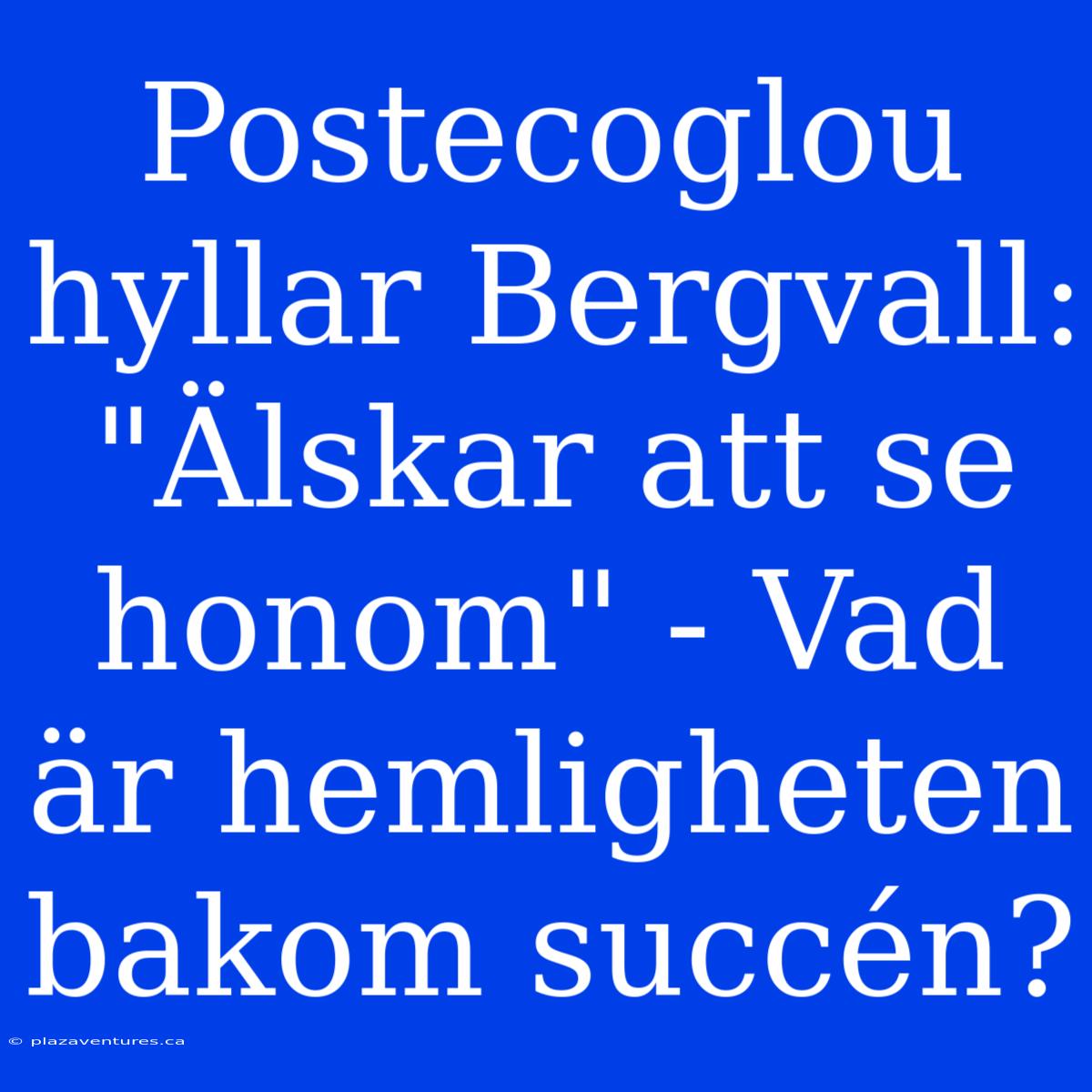 Postecoglou Hyllar Bergvall: 