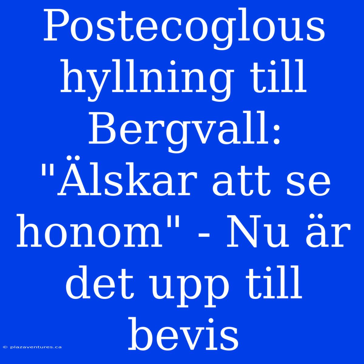 Postecoglous Hyllning Till Bergvall: 