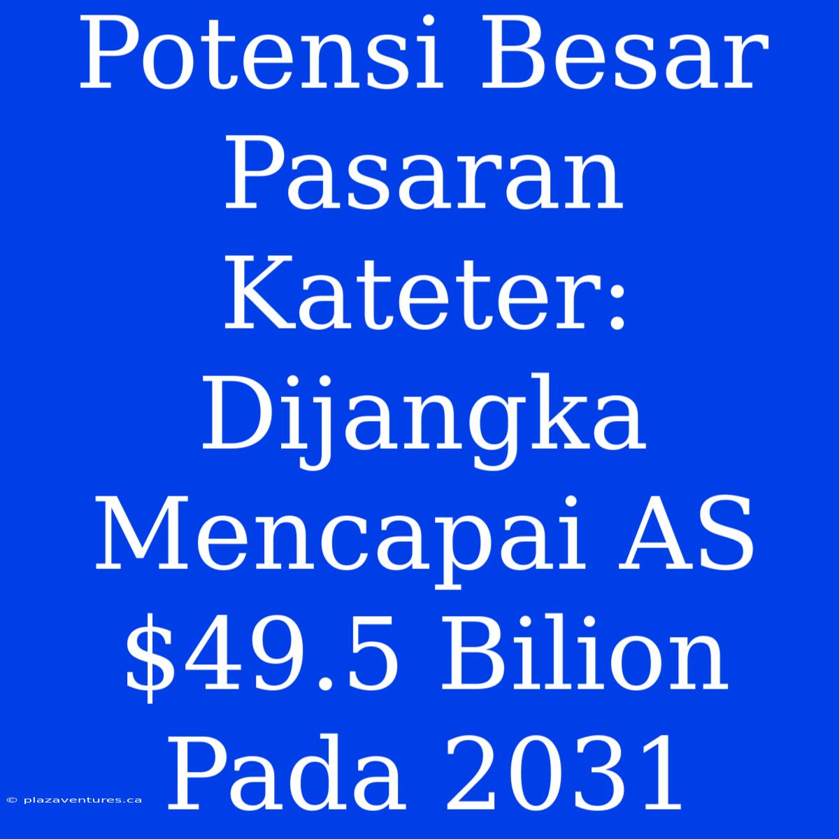 Potensi Besar Pasaran Kateter: Dijangka Mencapai AS$49.5 Bilion Pada 2031