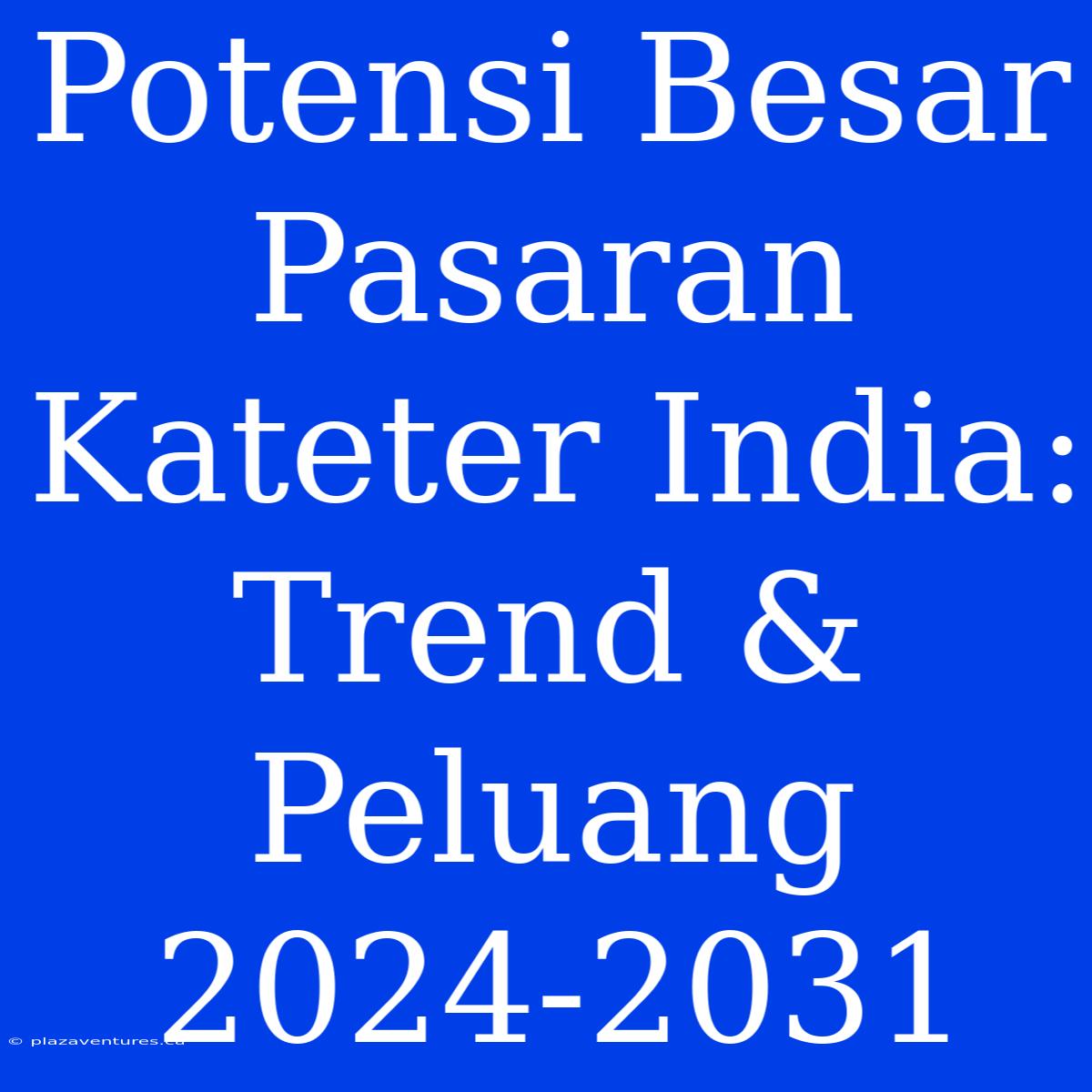 Potensi Besar Pasaran Kateter India: Trend & Peluang 2024-2031