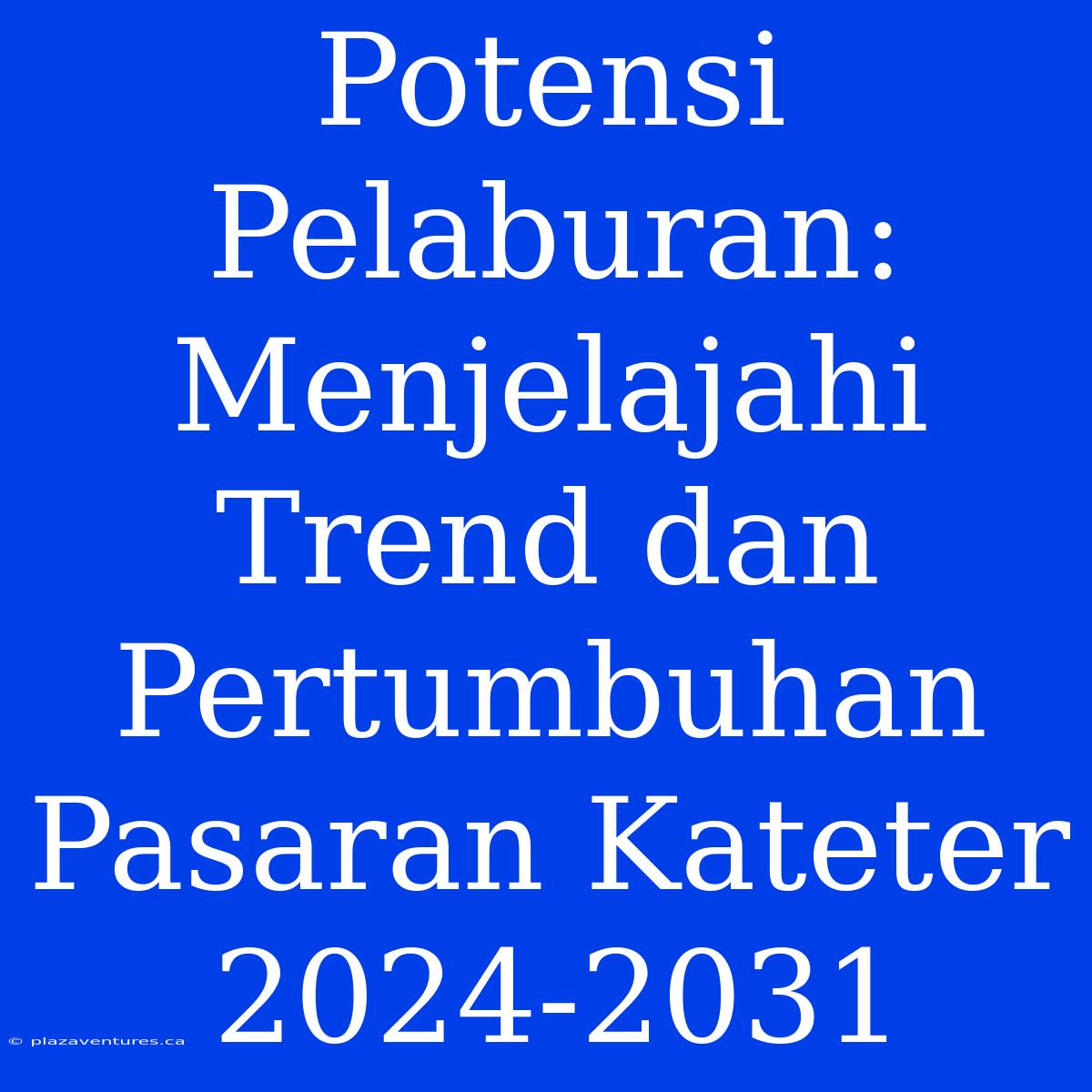 Potensi Pelaburan: Menjelajahi Trend Dan Pertumbuhan Pasaran Kateter 2024-2031