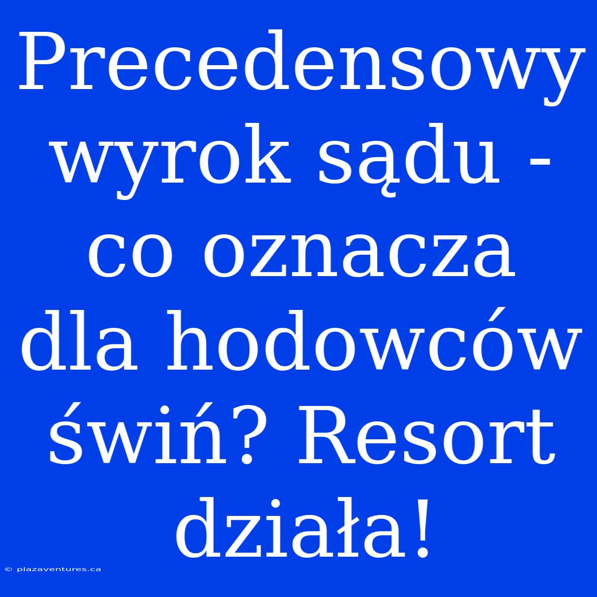 Precedensowy Wyrok Sądu - Co Oznacza Dla Hodowców Świń? Resort Działa!