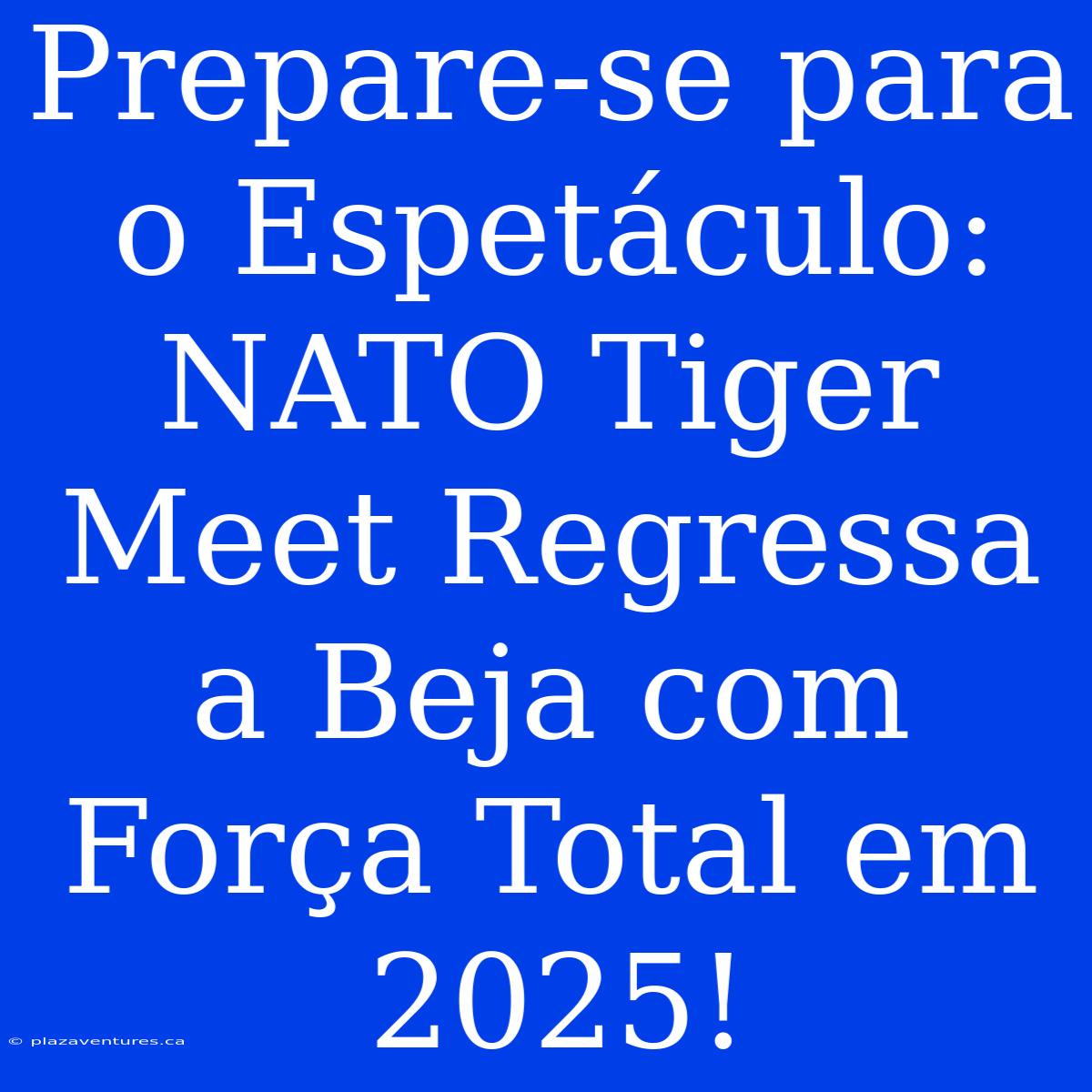 Prepare-se Para O Espetáculo: NATO Tiger Meet Regressa A Beja Com Força Total Em 2025!