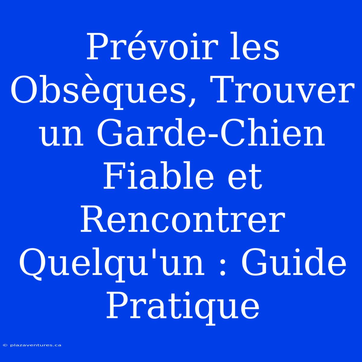 Prévoir Les Obsèques, Trouver Un Garde-Chien Fiable Et Rencontrer Quelqu'un : Guide Pratique