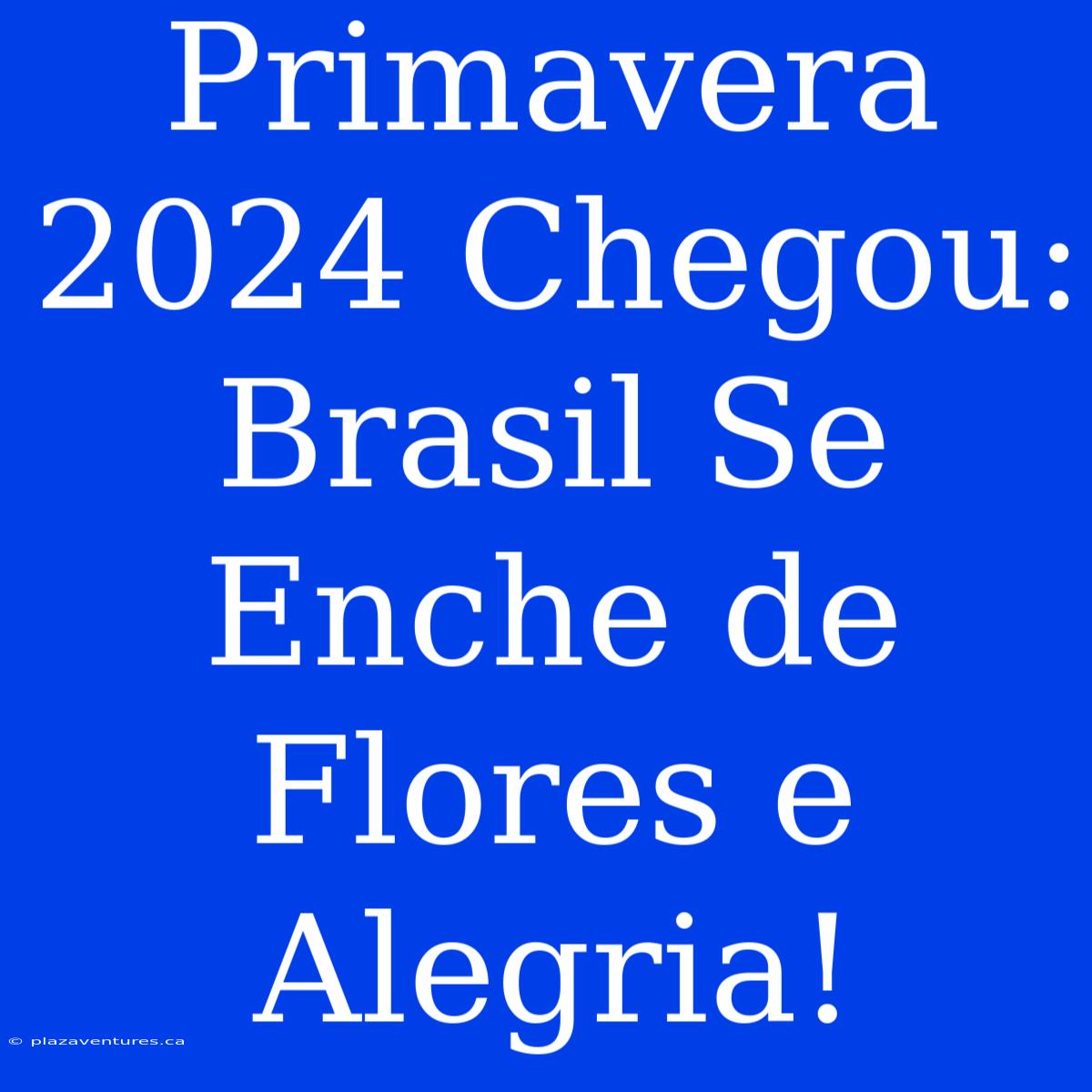 Primavera 2024 Chegou: Brasil Se Enche De Flores E Alegria!