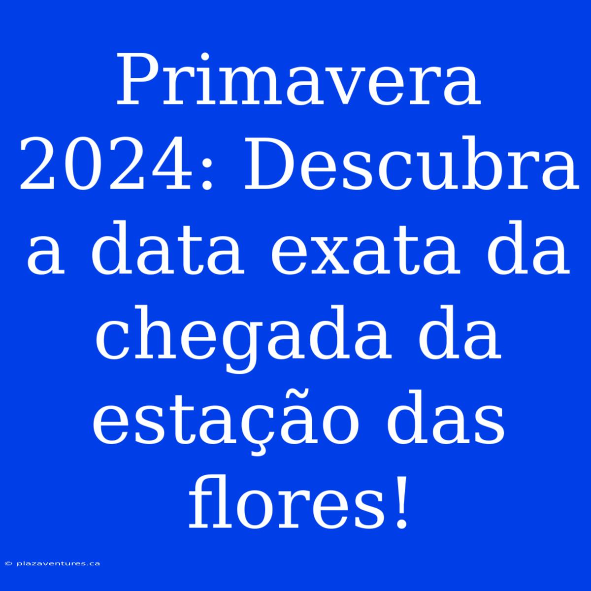 Primavera 2024: Descubra A Data Exata Da Chegada Da Estação Das Flores!