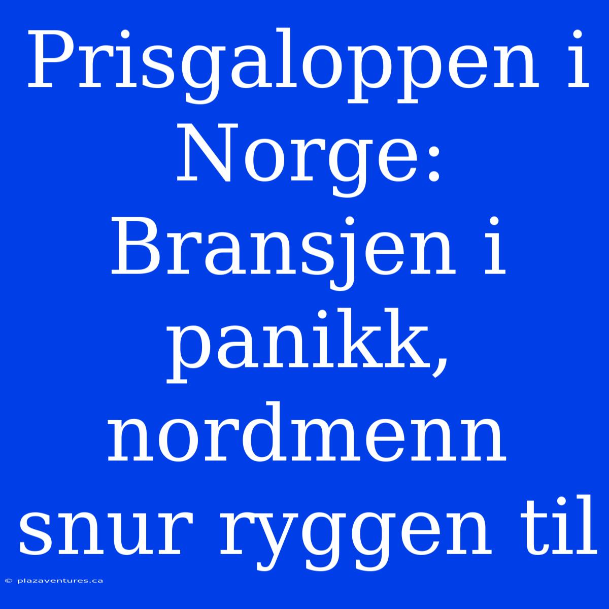 Prisgaloppen I Norge: Bransjen I Panikk, Nordmenn Snur Ryggen Til