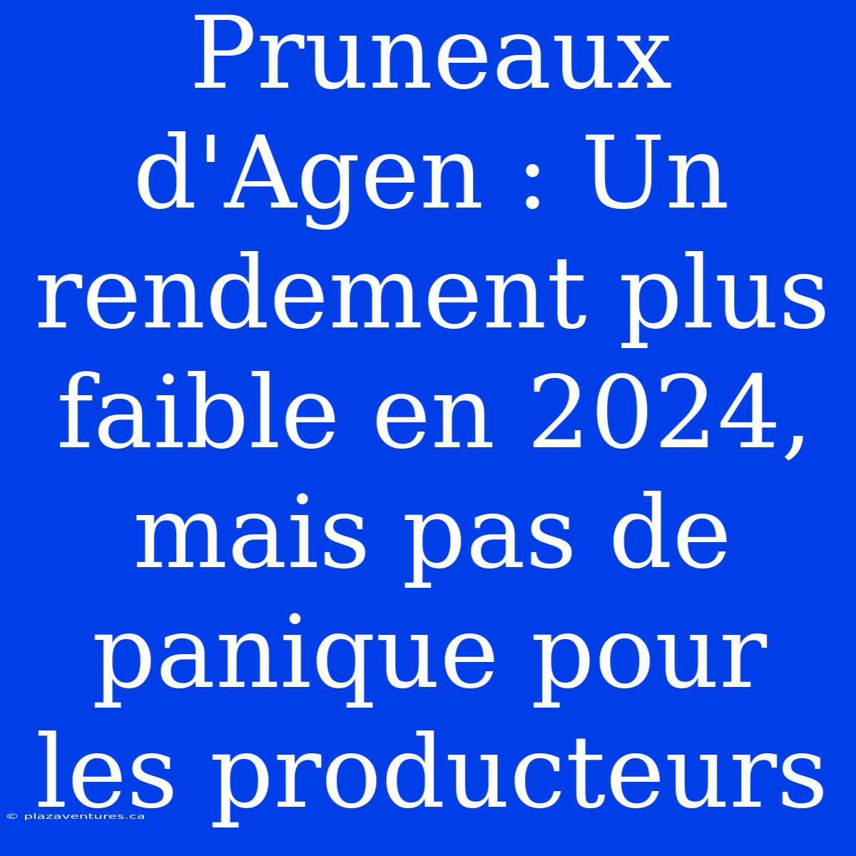 Pruneaux D'Agen : Un Rendement Plus Faible En 2024, Mais Pas De Panique Pour Les Producteurs