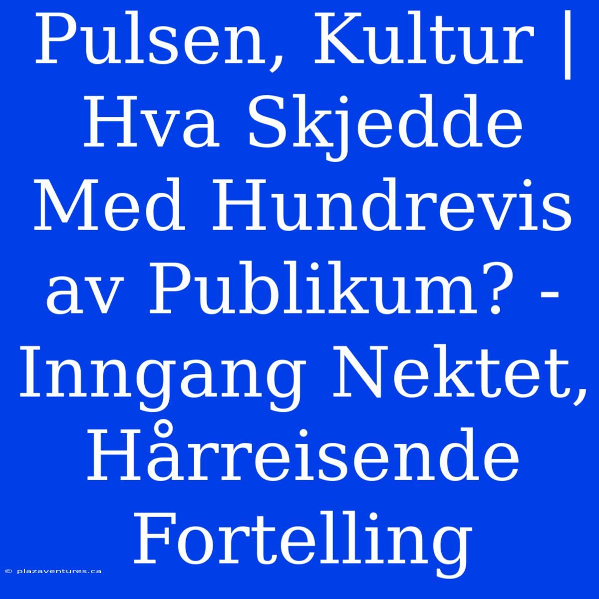 Pulsen, Kultur | Hva Skjedde Med Hundrevis Av Publikum? - Inngang Nektet, Hårreisende Fortelling