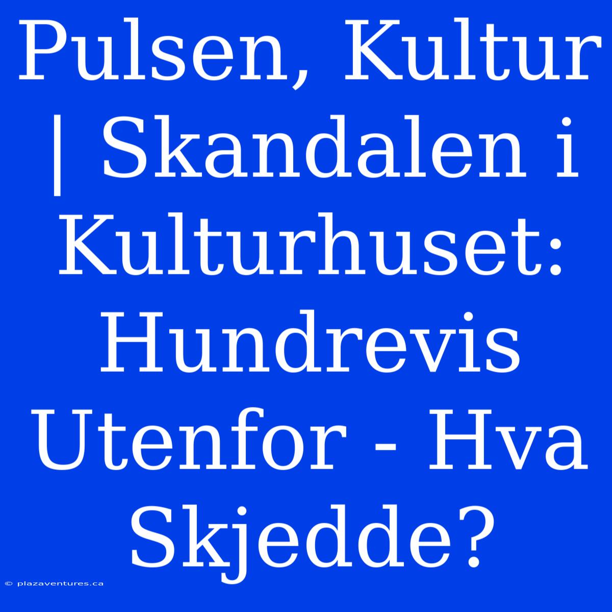 Pulsen, Kultur | Skandalen I Kulturhuset: Hundrevis Utenfor - Hva Skjedde?