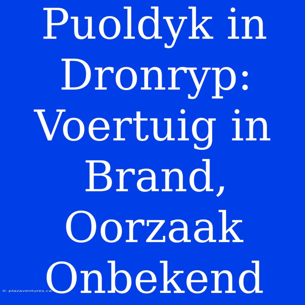 Puoldyk In Dronryp: Voertuig In Brand, Oorzaak Onbekend