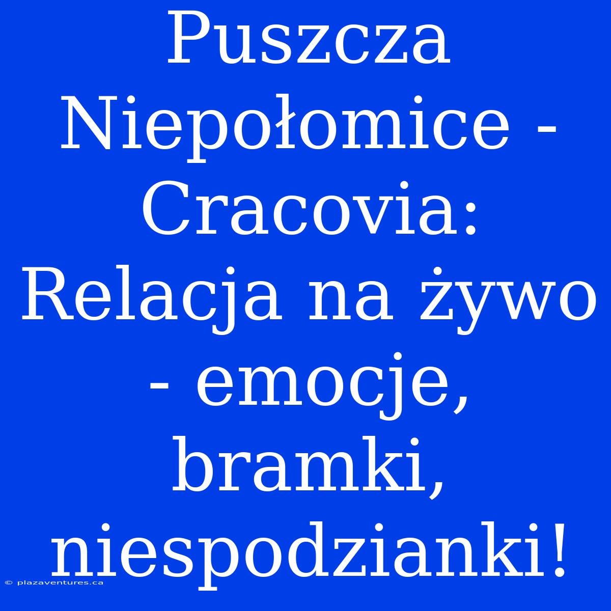 Puszcza Niepołomice - Cracovia: Relacja Na Żywo - Emocje, Bramki, Niespodzianki!