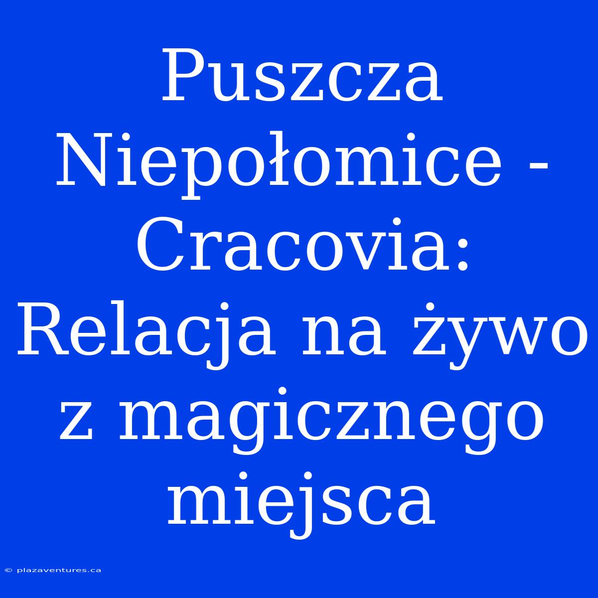 Puszcza Niepołomice - Cracovia: Relacja Na Żywo Z Magicznego Miejsca