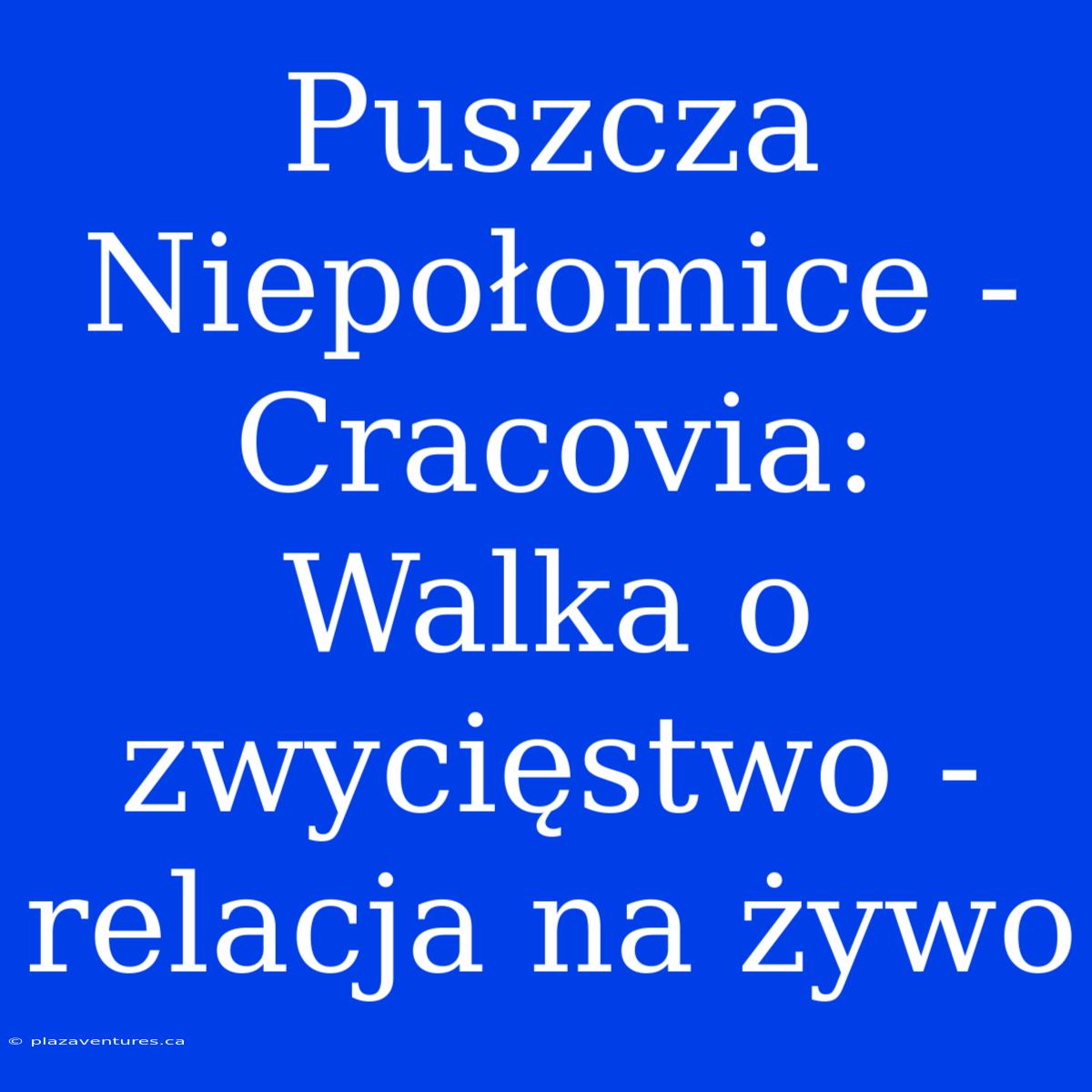 Puszcza Niepołomice - Cracovia: Walka O Zwycięstwo - Relacja Na Żywo