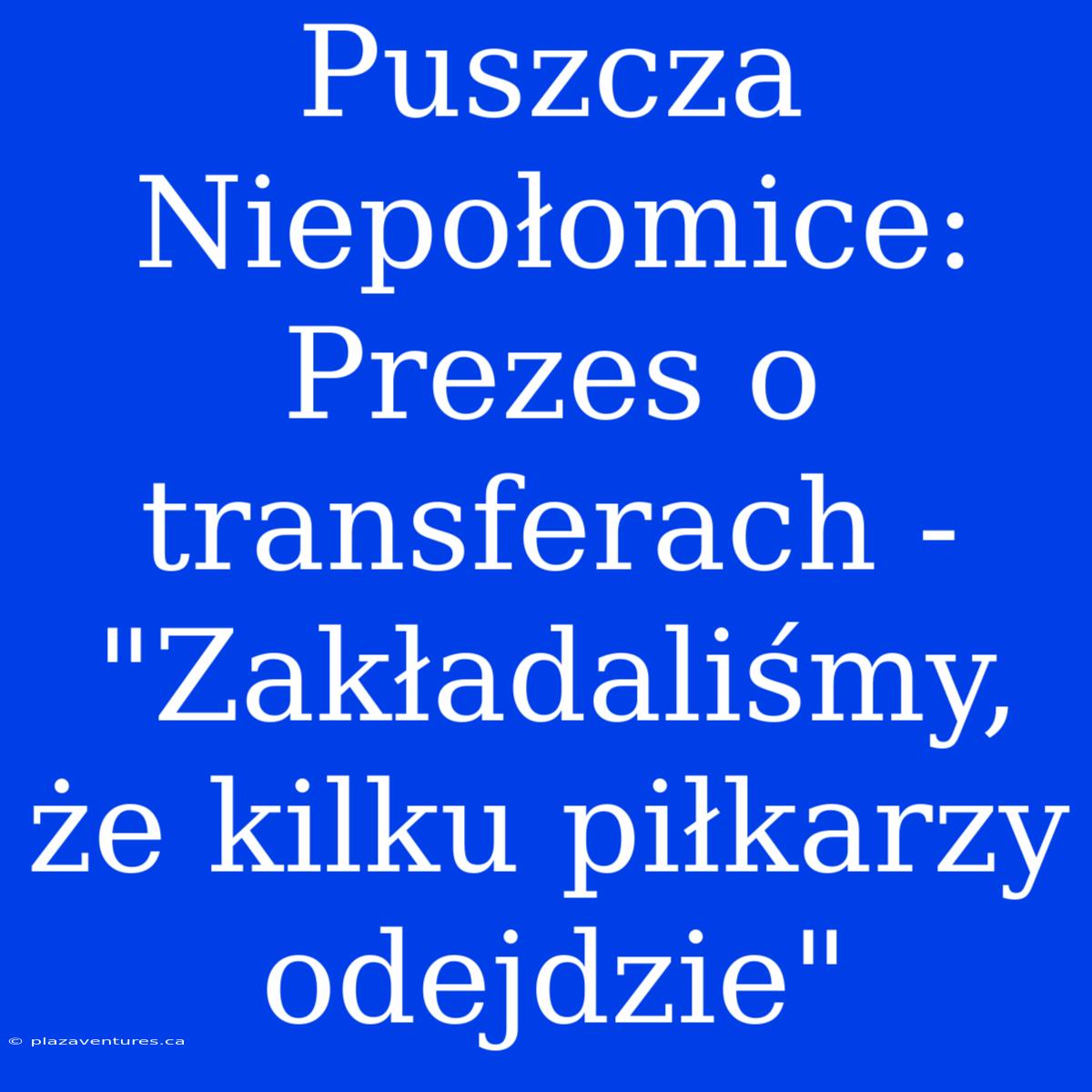 Puszcza Niepołomice: Prezes O Transferach - 