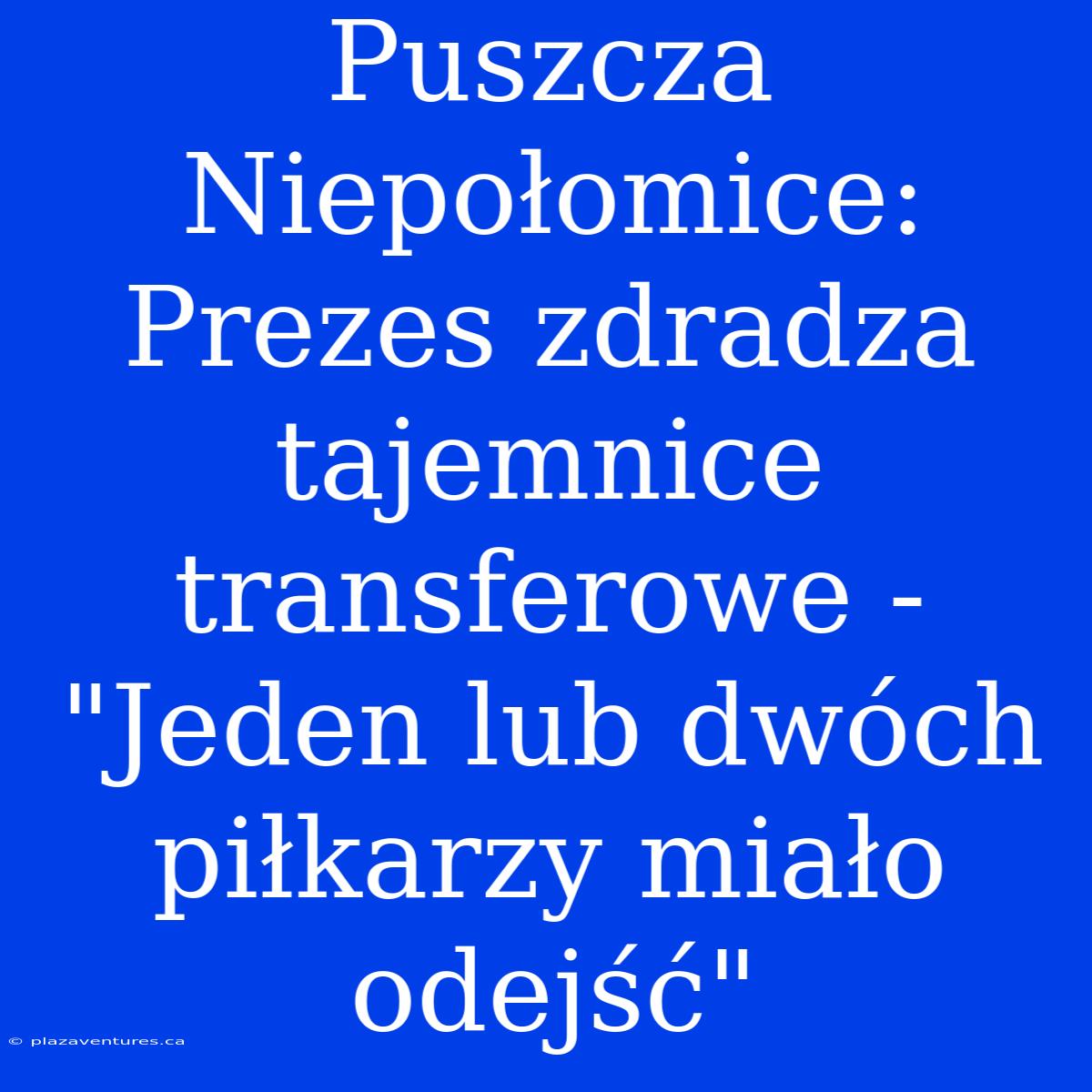 Puszcza Niepołomice: Prezes Zdradza Tajemnice Transferowe - 