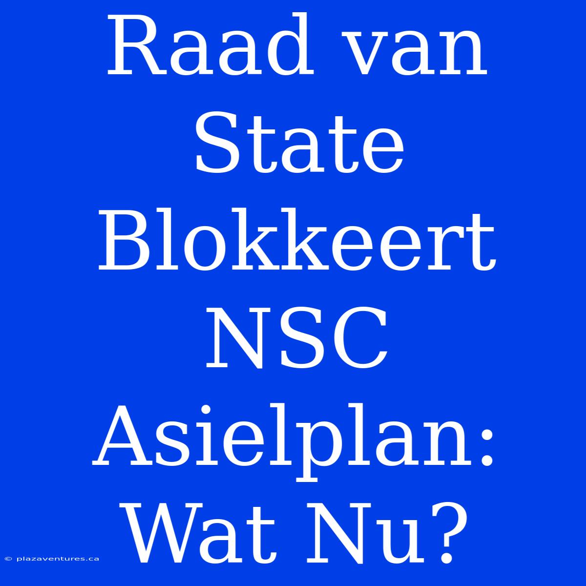 Raad Van State Blokkeert NSC Asielplan: Wat Nu?