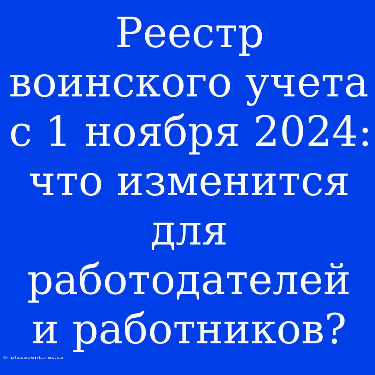 Реестр Воинского Учета С 1 Ноября 2024: Что Изменится Для Работодателей И Работников?