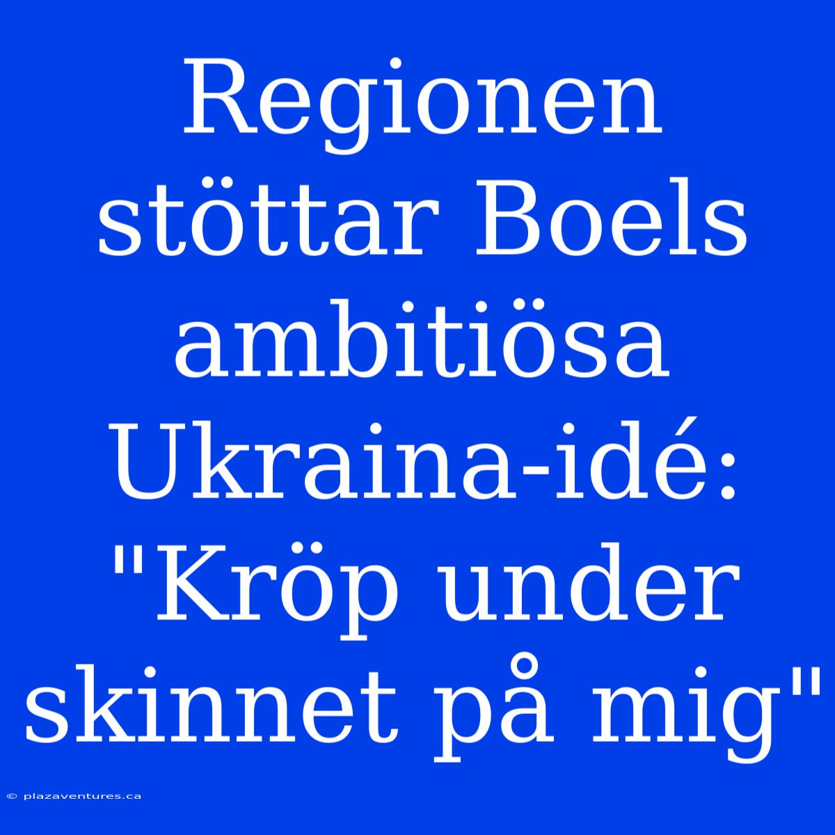 Regionen Stöttar Boels Ambitiösa Ukraina-idé: 