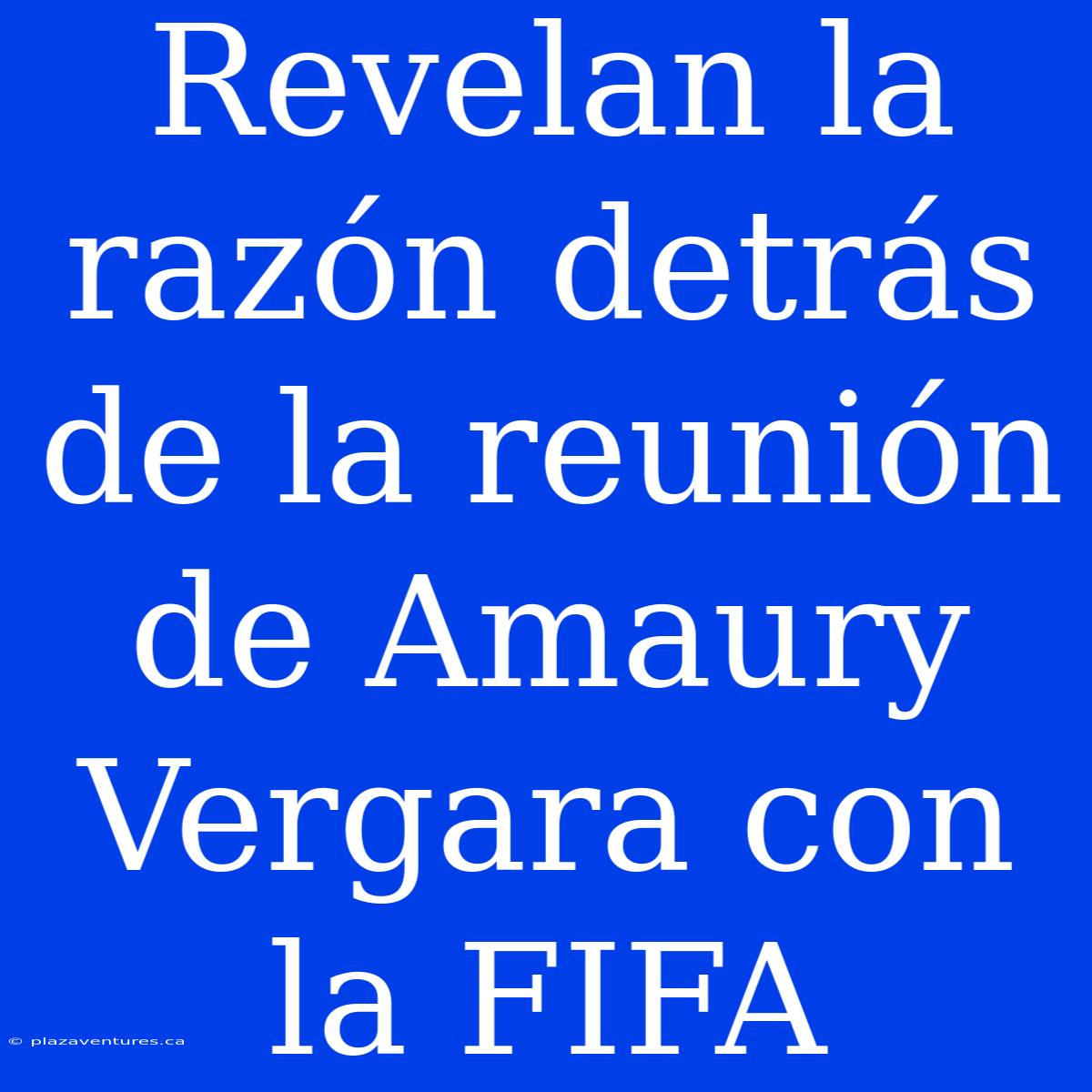 Revelan La Razón Detrás De La Reunión De Amaury Vergara Con La FIFA