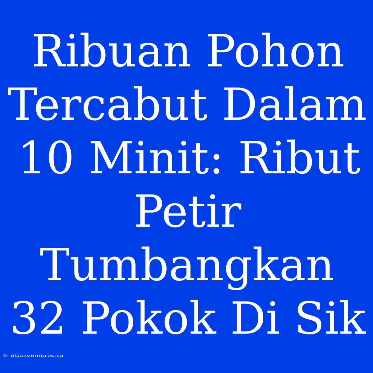 Ribuan Pohon Tercabut Dalam 10 Minit: Ribut Petir Tumbangkan 32 Pokok Di Sik