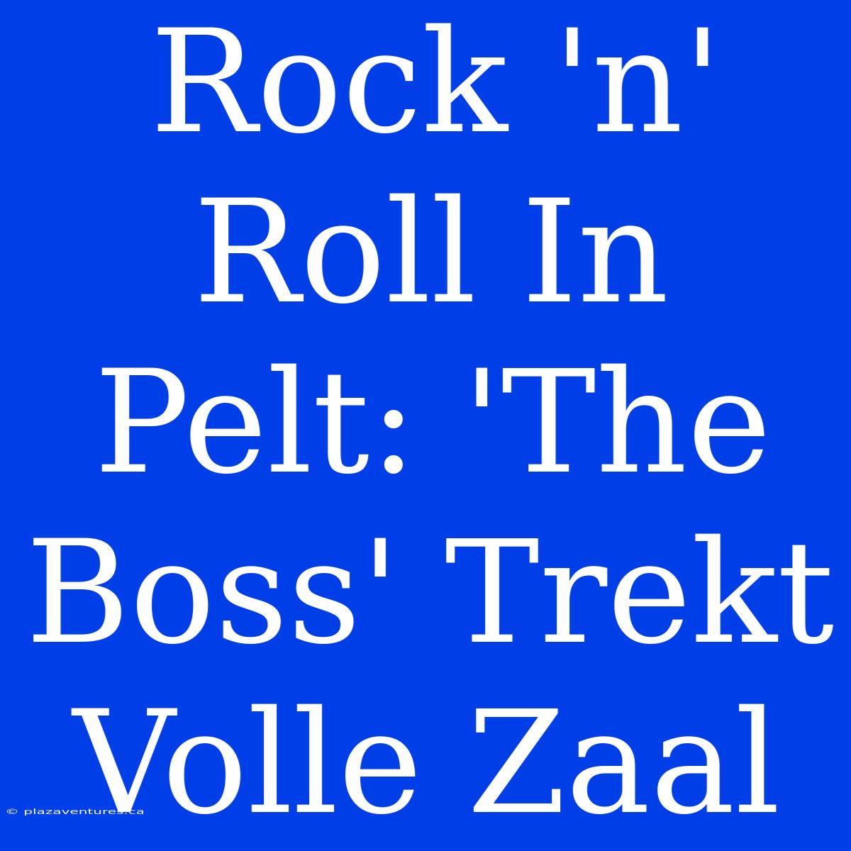 Rock 'n' Roll In Pelt: 'The Boss' Trekt Volle Zaal